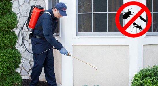 Mustafakemalpaşa Bit İlaçlama böcek ilaçlama ve haşere kontrolü — ilaclama-tr.com